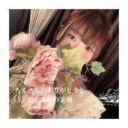 ヒメ日記 2026/08/20 14:40 投稿 みえ One More 奥様　五反田店