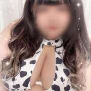 ヒメ日記 2026/01/17 22:15 投稿 姫宮 BBW札幌店