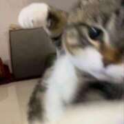 ヒメ日記 2025/08/05 13:02 投稿 奈々/なな　centu STYLISH BACH