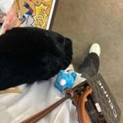 ヒメ日記 2025/03/20 21:33 投稿 みう ソープランド AQUA（アクア）