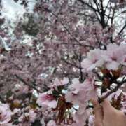 ヒメ日記 2025/04/30 12:48 投稿 みう ソープランド AQUA（アクア）