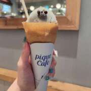 ヒメ日記 2025/05/17 16:26 投稿 みう ソープランド AQUA（アクア）