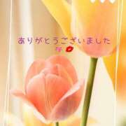 ヒメ日記 2025/02/20 01:52 投稿 美月咲良 五十路マダム 岐阜店