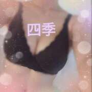 ヒメ日記 2025/11/23 17:59 投稿 四季(しき) 人妻城 横浜本店