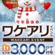 ヒメ日記 2025/12/23 18:42 投稿 四季(しき) 人妻城 横浜本店
