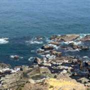 ヒメ日記 2025/03/03 20:46 投稿 みこと 池袋で熟女の風俗 マダムいやーん