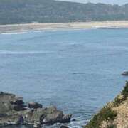 ヒメ日記 2025/03/22 10:14 投稿 みこと 池袋で熟女の風俗 マダムいやーん