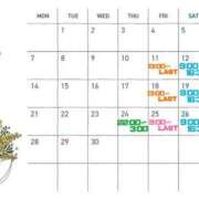 ヒメ日記 2025/03/21 15:04 投稿 あろま 京都デリヘル倶楽部FIRST