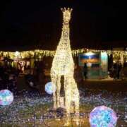 ヒメ日記 2024/12/18 11:42 投稿 レヴィ-KINDAN- KINDAN-禁断-