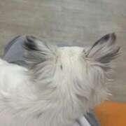 ヒメ日記 2025/03/29 11:47 投稿 レヴィ-KINDAN- KINDAN-禁断-