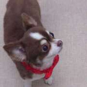 ヒメ日記 2025/05/10 23:14 投稿 レヴィ-KINDAN- KINDAN-禁断-