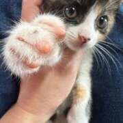 ヒメ日記 2025/06/24 23:11 投稿 レヴィ-KINDAN- KINDAN-禁断-