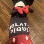 ヒメ日記 2025/10/16 22:15 投稿 レヴィ-KINDAN- KINDAN-禁断-