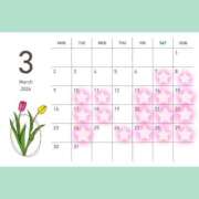 ヒメ日記 2026/03/07 17:31 投稿 レヴィ-KINDAN- KINDAN-禁断-