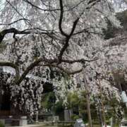 ヒメ日記 2026/04/01 18:11 投稿 レヴィ-KINDAN- KINDAN-禁断-