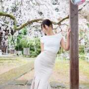 ヒメ日記 2026/04/24 11:57 投稿 レヴィ-KINDAN- KINDAN-禁断-