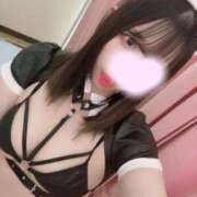 ヒメ日記 2025/04/19 07:08 投稿 ねる ワンダフル