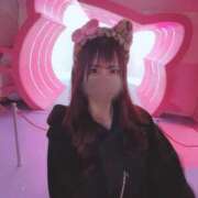 ヒメ日記 2025/11/08 14:08 投稿 ねる ワンダフル