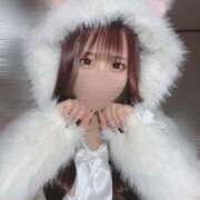 ヒメ日記 2025/11/10 13:58 投稿 ねる ワンダフル