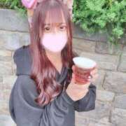 ヒメ日記 2026/02/09 09:08 投稿 ねる ワンダフル