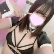 ヒメ日記 2026/02/22 15:28 投稿 ねる ワンダフル