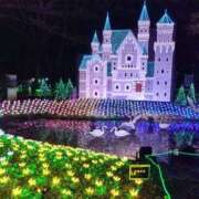 ヒメ日記 2024/12/28 23:30 投稿 はるき マリアージュ熊谷