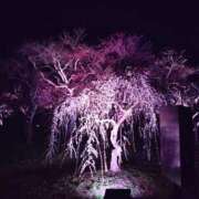 ヒメ日記 2025/04/10 11:32 投稿 はるき マリアージュ熊谷