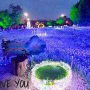 ヒメ日記 2025/04/27 08:50 投稿 はるき マリアージュ熊谷