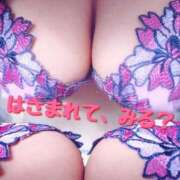 ヒメ日記 2026/02/11 20:40 投稿 はるき マリアージュ熊谷