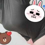 もあ 写真って難しいね…… 愛媛松山ちゃんこ