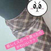 もあ こんばんは😊 愛媛松山ちゃんこ