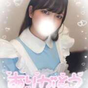 ヒメ日記 2024/12/29 01:43 投稿 こいろ しろうと娘　本店