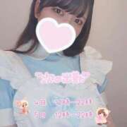 ヒメ日記 2025/05/01 12:23 投稿 こいろ しろうと娘　本店