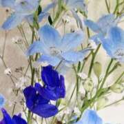 ヒメ日記 2025/05/05 17:43 投稿 こいろ しろうと娘　本店