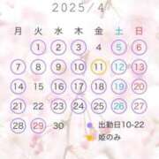 ヒメ日記 2025/02/17 00:14 投稿 あやの ムーランルージュ