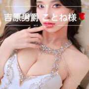 ヒメ日記 2025/06/01 19:01 投稿 あやの ムーランルージュ