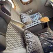 ヒメ日記 2025/08/03 12:00 投稿 あやの ムーランルージュ