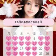 ヒメ日記 2025/12/15 17:05 投稿 あやの ムーランルージュ