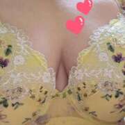 ヒメ日記 2024/12/30 08:50 投稿 みや 兵庫姫路・加古川ちゃんこ