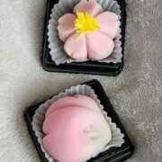 ヒメ日記 2025/03/22 08:36 投稿 みや 兵庫姫路・加古川ちゃんこ