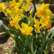 ヒメ日記 2025/03/24 18:01 投稿 みや 兵庫姫路・加古川ちゃんこ