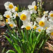 ヒメ日記 2025/03/25 12:50 投稿 みや 兵庫姫路・加古川ちゃんこ