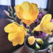 ヒメ日記 2025/04/05 16:55 投稿 みや 兵庫姫路・加古川ちゃんこ