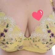 ヒメ日記 2025/05/26 10:30 投稿 みや 兵庫姫路・加古川ちゃんこ