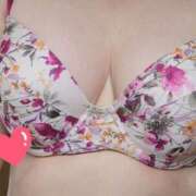 ヒメ日記 2025/07/03 13:32 投稿 みや 兵庫姫路・加古川ちゃんこ