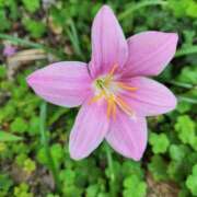 ヒメ日記 2025/09/03 21:05 投稿 みや 兵庫姫路・加古川ちゃんこ