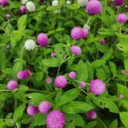 ヒメ日記 2025/09/25 19:07 投稿 みや 兵庫姫路・加古川ちゃんこ