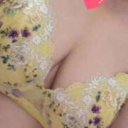 ヒメ日記 2025/10/13 13:00 投稿 みや 兵庫姫路・加古川ちゃんこ