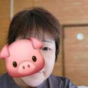 ヒメ日記 2025/11/01 10:36 投稿 みや 兵庫姫路・加古川ちゃんこ