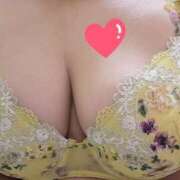 ヒメ日記 2025/11/04 11:16 投稿 みや 兵庫姫路・加古川ちゃんこ